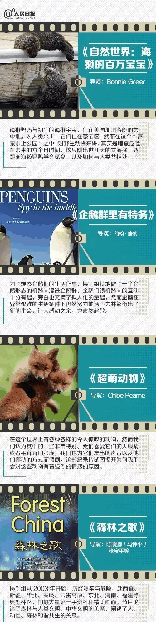 人民日報推薦！小長假陪孩子看這些紀錄片，勝過出門玩五天