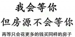 遲遲買不上房，因為軍師太多！5層以下嫌矮，