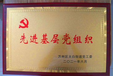 集團(tuán)黨支部回報(bào)社會，努力踐行社會責(zé)任與擔(dān)當(dāng)